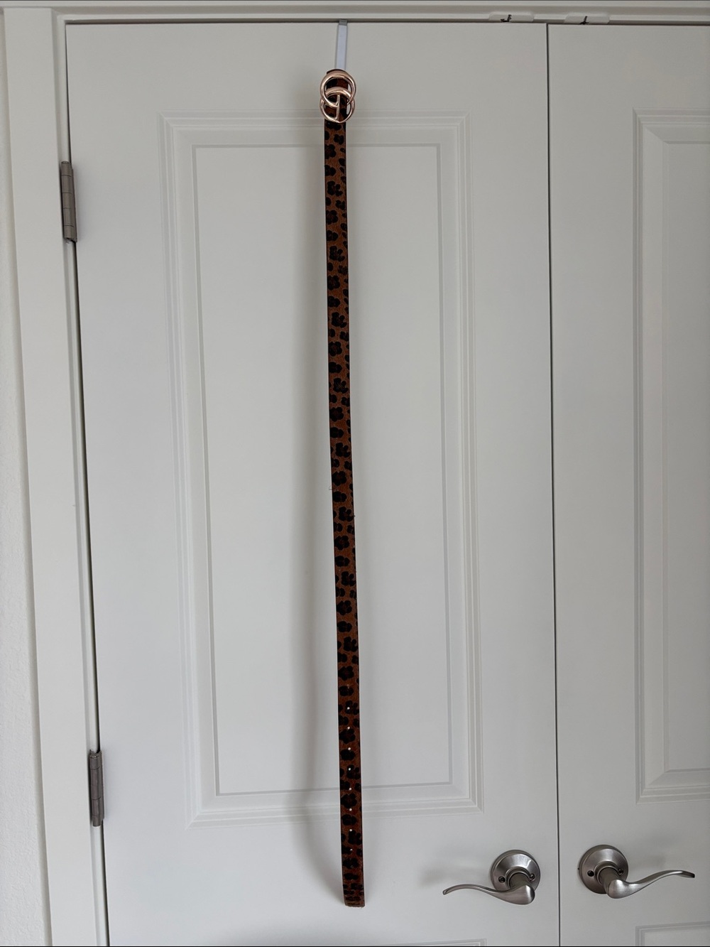 Leopard Print Slim Brown Women's Belt with Gold Buckle